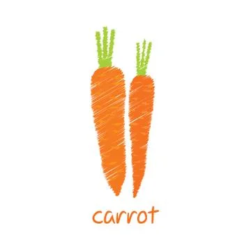 Carrot, sketch design vector Stock Illustration