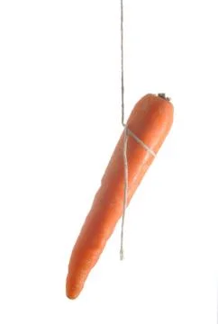 Carrot on some string Stock Photos