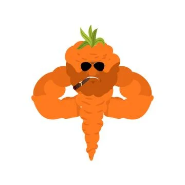 Carrot Strong. Vegetable powerful strict. Vector illustration Ilustración de archivo