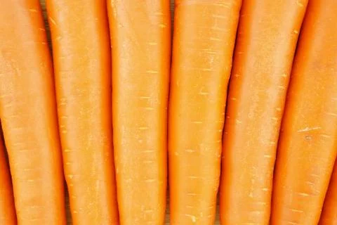 Carrot as texture Stock Photos