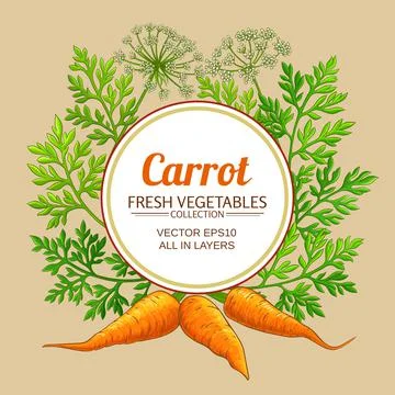 Carrot vector frame Stock Illustration