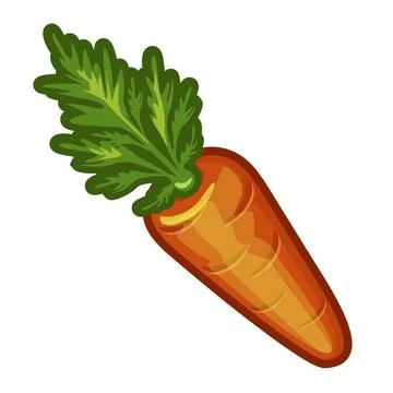 Carrot in vector Stock Illustration