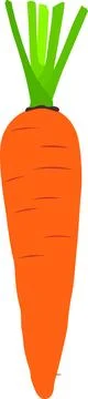 Carrot Vector Stock Illustration