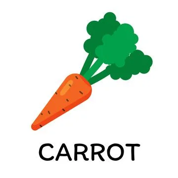 Carrot, vector illustration in cartoon flat stye. Food and vegetable concept Stock Illustration