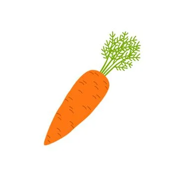 Carrot. Vector illustration. Stock Illustration
