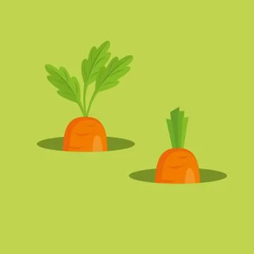 Carrot vector illustration Stock Illustration