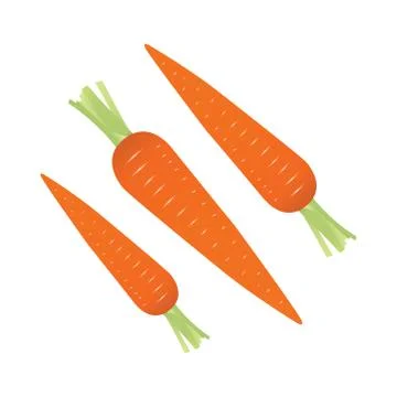 Carrot Vector illustration Stock Illustration
