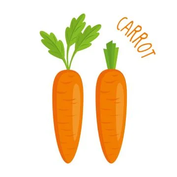 Carrot vector illustration isolated Stock Illustration