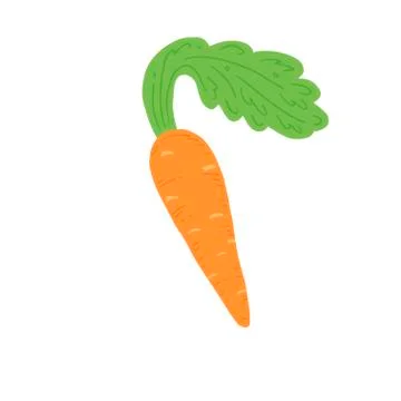 Carrot vector illustration. Simple hand drawn style. Stock Illustration