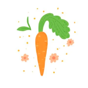 Carrot vector illustration. Simple hand drawn style. Stock Illustration
