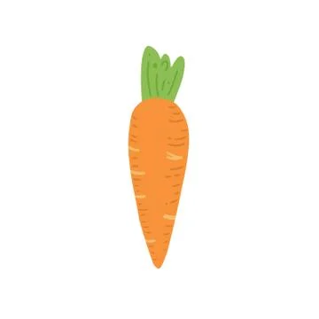 Carrot vector illustration. Simple hand drawn style. Stock Illustration