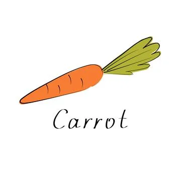 Carrot vector illustration. Vegetable simple sign. Flat Stock Illustration