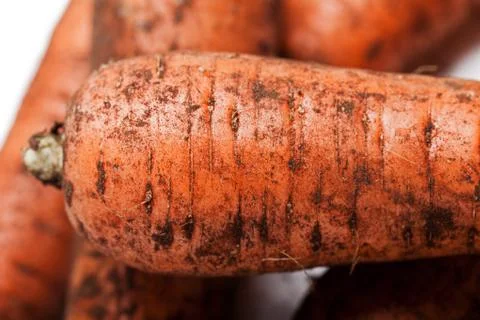 Carrot vegetable heap Stock Photos