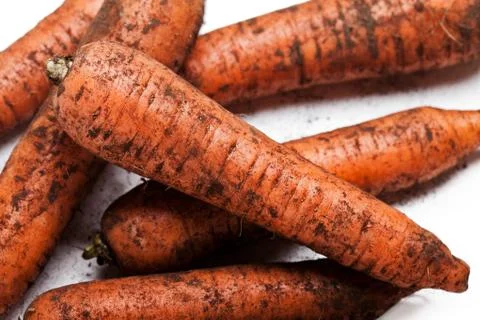 Carrot vegetable heap Stock Photos