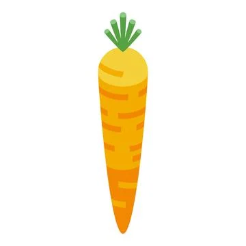 Carrot vegetable icon isometric vector. Borsch cook food Stock Illustration