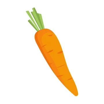 Carrot vegetable isolated vector colored Stock Illustration