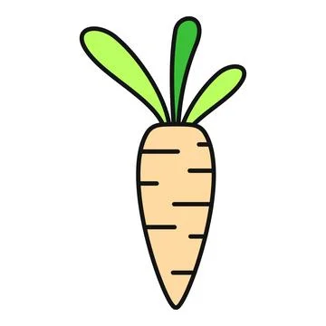 Carrot vegetable root with green leaves illustration Stock Illustration