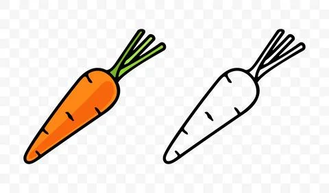 Carrot, vegetable, root vegetable or root-crop, graphic design Stock Illustration