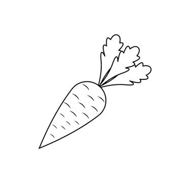 Carrot vegetable vector icon outline black EPS 10. Vegetarian flat illustrati Stock Illustration