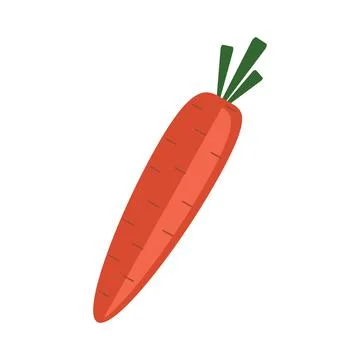 Carrot vegetable vector illustration colored Stock Illustration