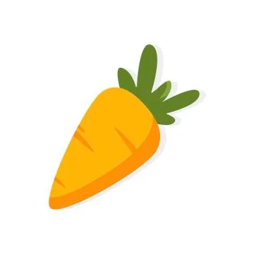 Carrot vegetable on white background. Vector illustration in trendy flat style Stock Illustration