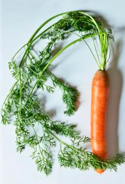 Carrot on a white background Stock-Fotos