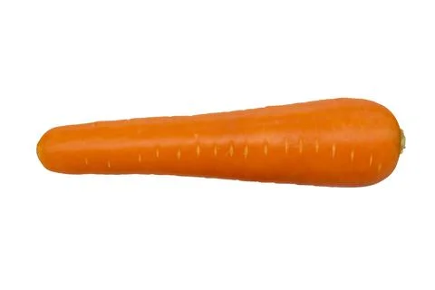 Carrot on white background. Stock Photos
