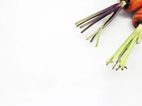 Carrot on a white background Stock-Fotos