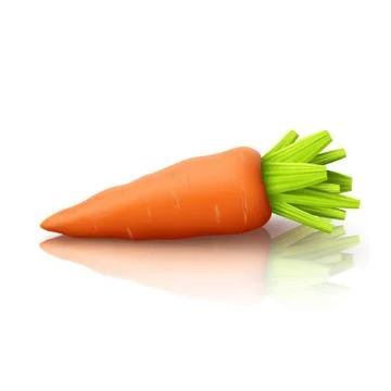 Carrot on white Stock Illustration