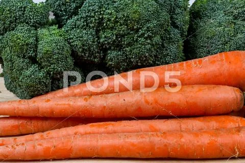 Carrots and broccoli Stock Photos