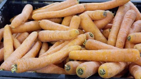 Carrots are displayed on a store shelf Stock Footage 309797574