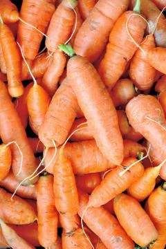 Carrots background Fotos Stock