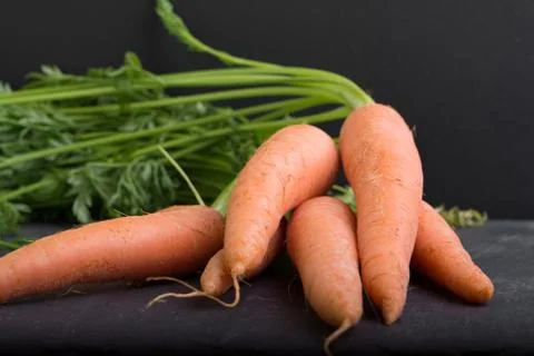 Carrots on a black background Stock Photos