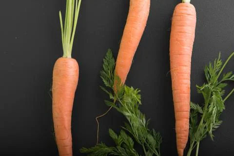 Carrots on a black background Stock Photos