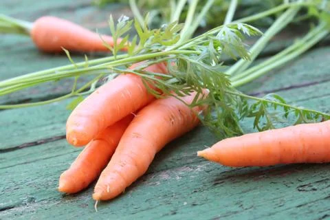 Carrots on boards Stock Photos