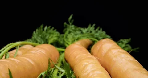 Carrots close up Stock Footage 134421810