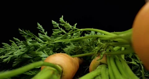 Carrots close up Stock Footage 134421901