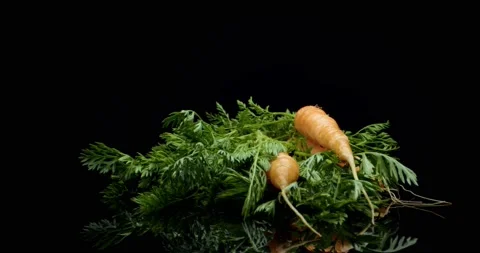 Carrots close up Video stock 134422054