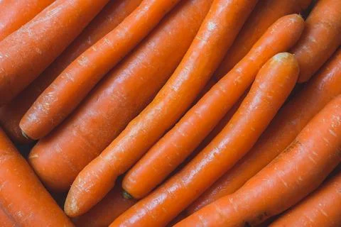 Carrots (diagonal) Stock Photos