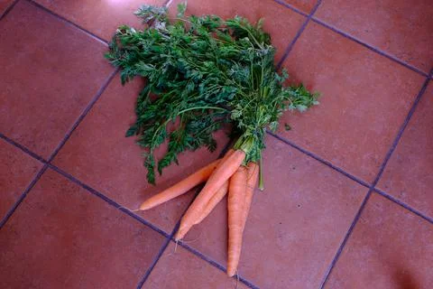 Carrots on a floor backround Foto stock