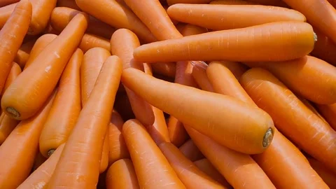 Carrots Stock Footage 316359360