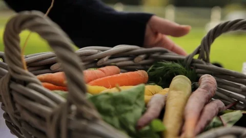 Carrots inside a basket Stock Footage 88796957