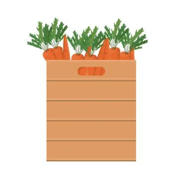 Carrots inside box vector design Illustrazione stock