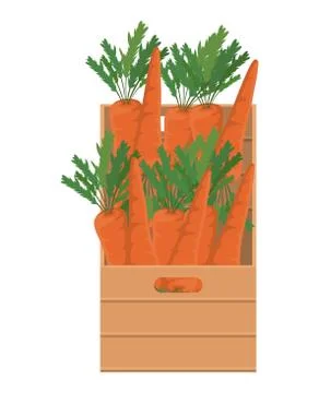 Carrots inside box vector design Illustrazione stock
