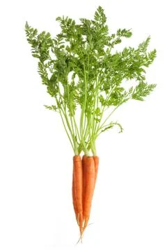 Carrots isolated Stock Photos