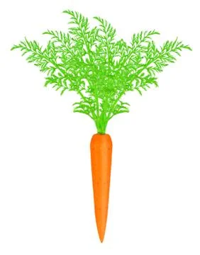 Carrots with leaf Stock Photos