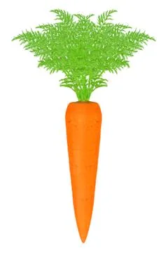 Carrots with leaf Foto stock