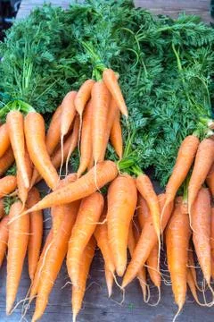 Carrots with leaves at a market Stock Photos