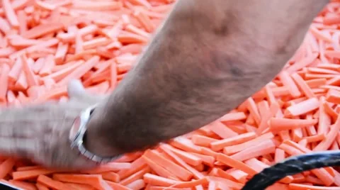 Carrots a lot Stock Footage 49659476