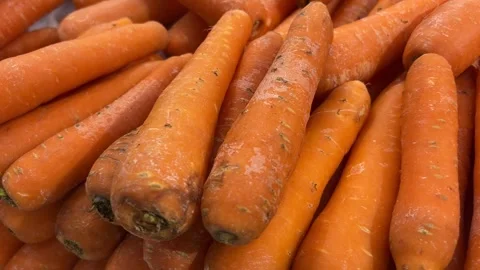 Carrots in the market Stock-Footage 292799863
